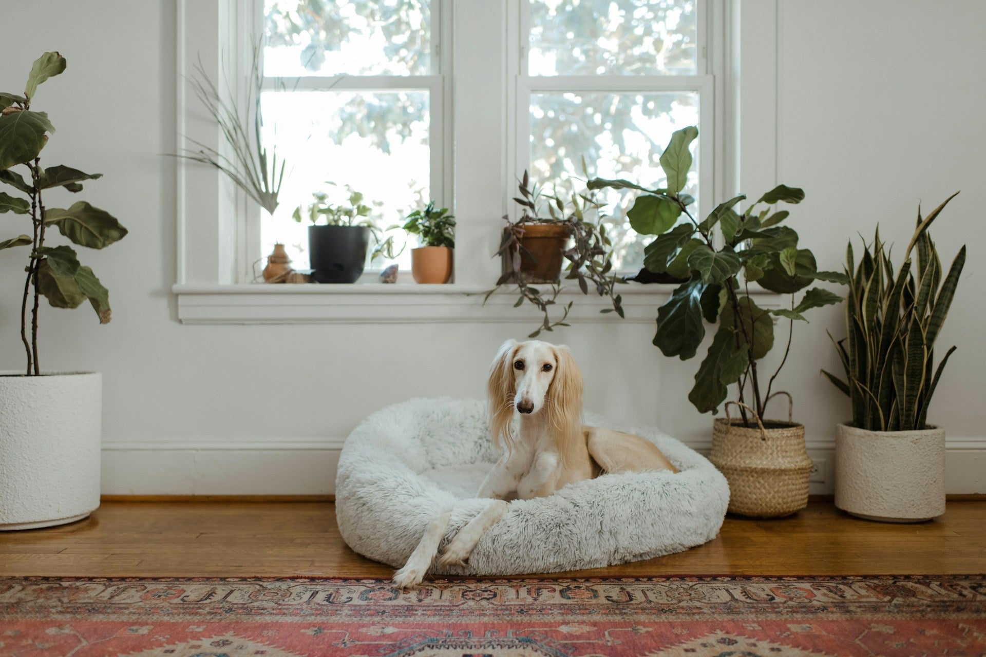 Recharge and Recalibrate: Making the Most of a Reset Day at Home ...