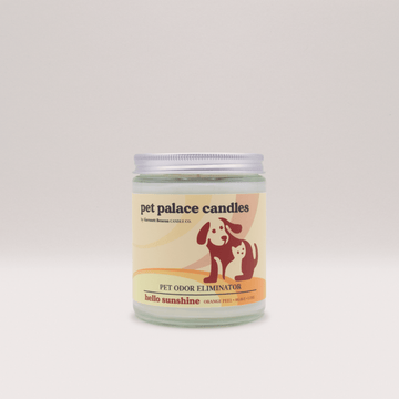 Hello Sunshine Pet Odor Eliminator Candle | Garsnett Beacon