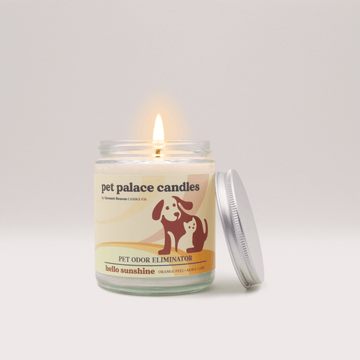 Hello Sunshine Pet Odor Eliminator Candle | Garsnett Beacon
