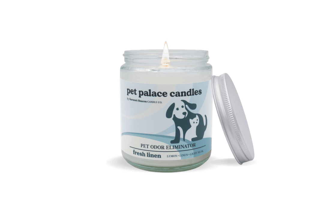 Pet Palace Pet Odor Eliminating Candle | Garsnett Beacon